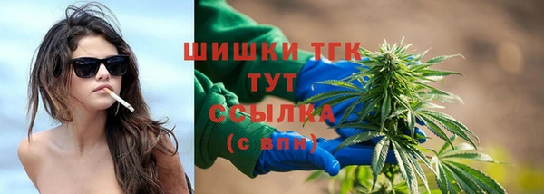 ПСИЛОЦИБИНОВЫЕ ГРИБЫ Белокуриха