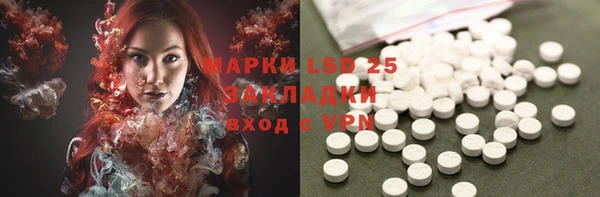 ПСИЛОЦИБИНОВЫЕ ГРИБЫ Белокуриха