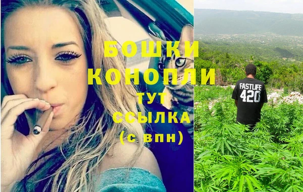 ГАЛЛЮЦИНОГЕННЫЕ ГРИБЫ Беломорск