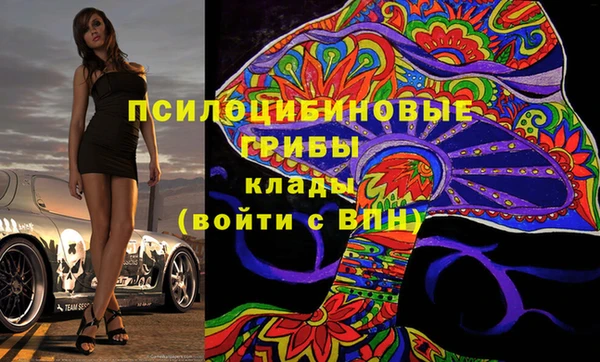 ГАЛЛЮЦИНОГЕННЫЕ ГРИБЫ Беломорск