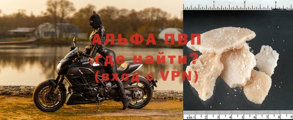 ГАЛЛЮЦИНОГЕННЫЕ ГРИБЫ Беломорск