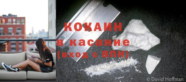 ГАЛЛЮЦИНОГЕННЫЕ ГРИБЫ Беломорск