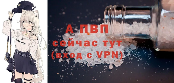 ПСИЛОЦИБИНОВЫЕ ГРИБЫ Белокуриха
