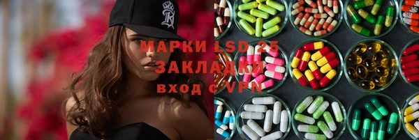 ПСИЛОЦИБИНОВЫЕ ГРИБЫ Белокуриха